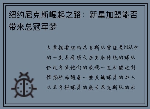 纽约尼克斯崛起之路：新星加盟能否带来总冠军梦